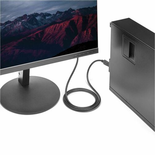 StarTech.com 6ft (1.8m) DisplayPort to DVI Cable