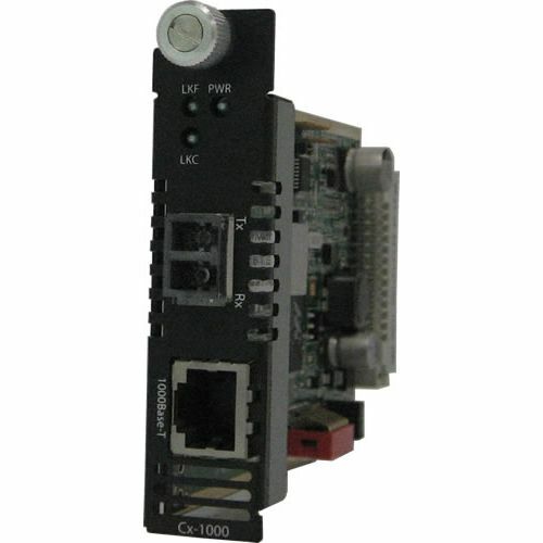 Perle Systems Perle CM-100