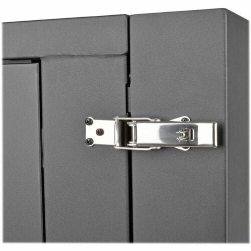 Tripp Lite by Eaton SRW12US33G SmartRack 12U Server-Depth Wall-Mount R