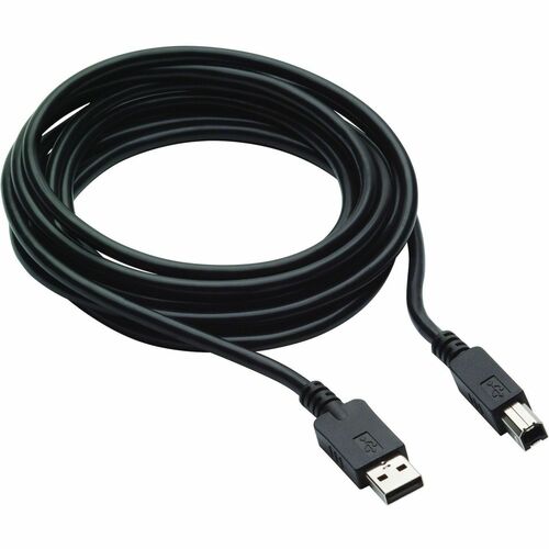 HP Inc. HP 300cm DP and USB B to A Cable for L7016t L7014t and L7010t (V4P96AA)