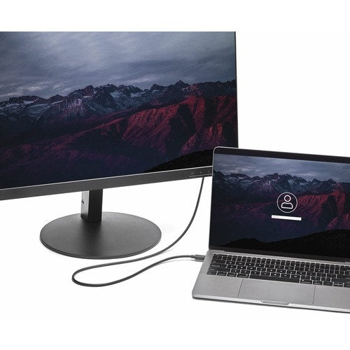 StarTech.com 6ft/1.8m USB C to DisplayPort 1.2 Cable 4K 60Hz