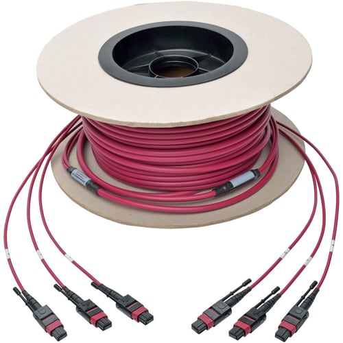Tripp Lite de Eaton N858