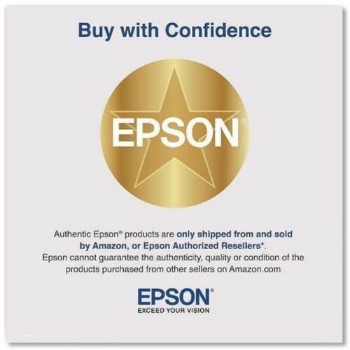 Unidad de transparencias Epson para escáneres 12000XL/13000XL