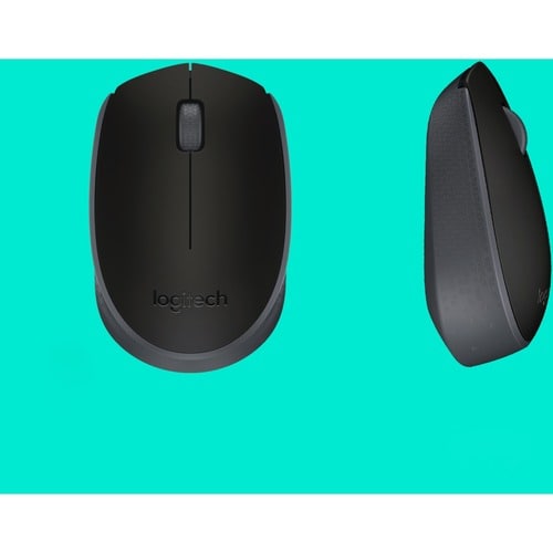 Logitech M170 Mouse - Optical - Wireless