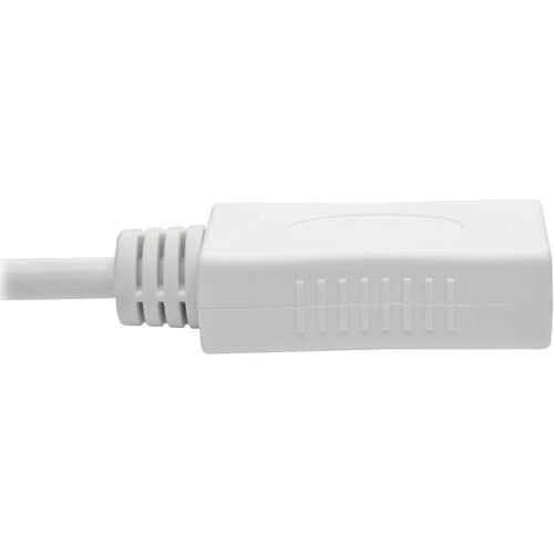 Tripp Lite by Eaton Keyspan P139