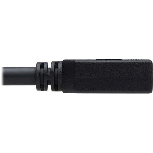 Tripp Lite par Eaton P579