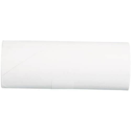 Rollos de recibos Star Micronics para SM-T400I - 112 mm (4 7/17") x 24,38 m (80 pies)