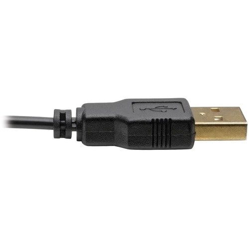 Tripp Lite de Eaton P116