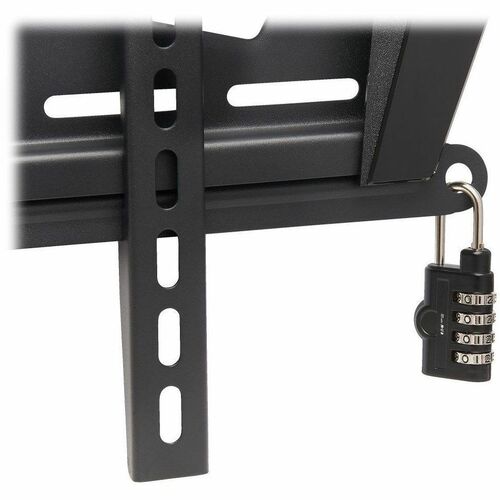 Tripp Lite by Eaton DWFSC3780MUL Wall Mount for Fl