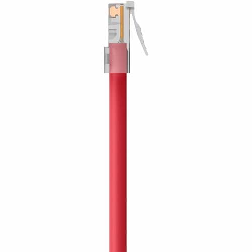 Belkin RJ45 CAT