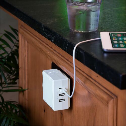 Cyber Power CyberPower Professional 2-OUtlet Surge Suppressor/Protecti