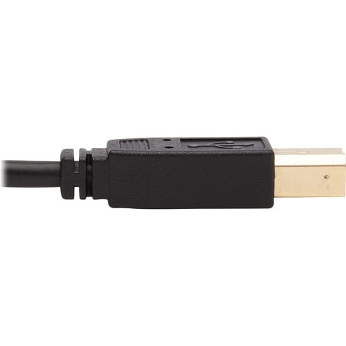 Tripp Lite by Eaton P784