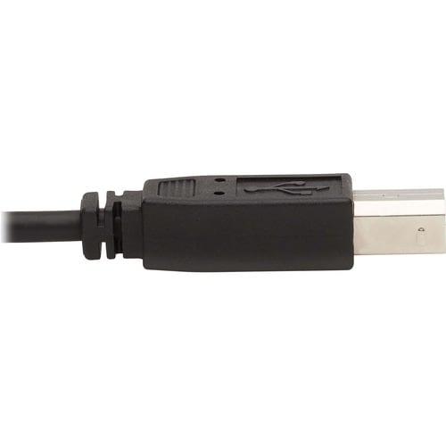 Tripp Lite by Eaton P784