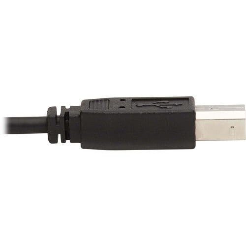 Tripp Lite by Eaton P784