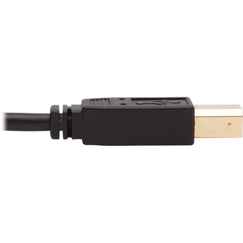 Tripp Lite by Eaton P784
