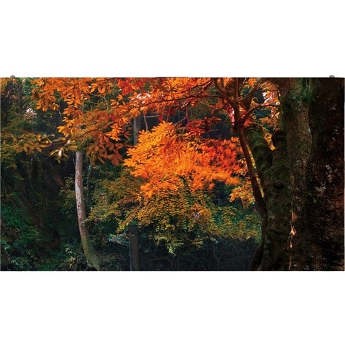 Écran d'affichage numérique LG LAS018DB7-F - LCD - 320 x 180 - LED - 600 cd/m²