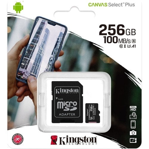 MULTI 1 256GB MICSDXC CANVAS SELECT