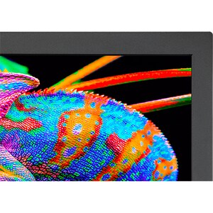 NEC Display PA311D-BK-SV 31\" Class 4K LCD Monitor