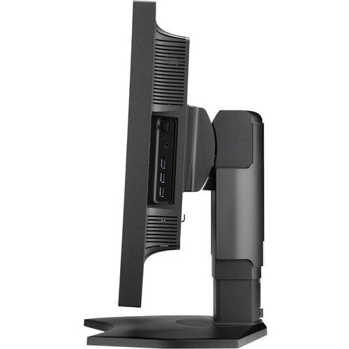 NEC Display PA311D-BK-SV 31\" Class 4K LCD Monitor