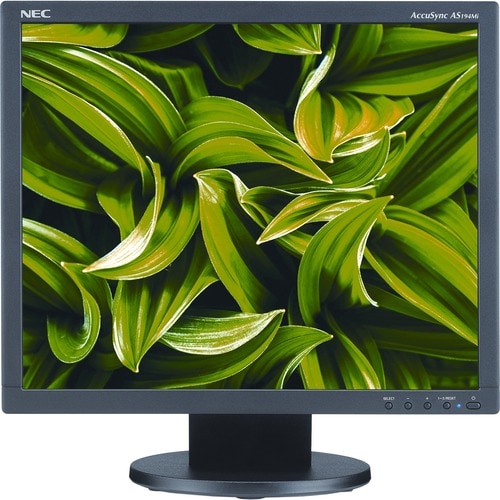 19 pulgadas LED 1280 x 1024 1000 1 AS194MI-BK DP HDMI VGA 6 MS