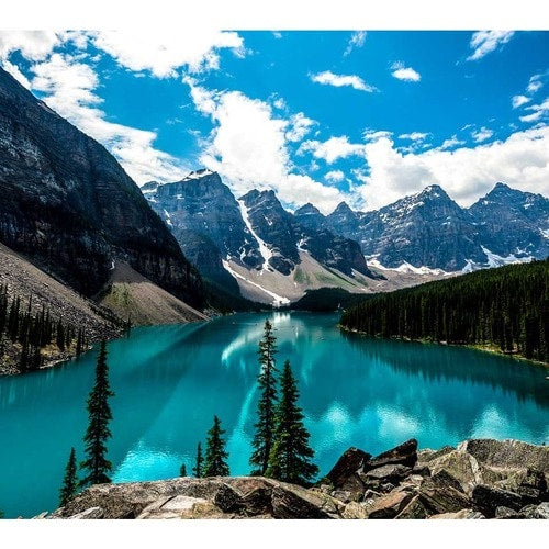 75 4K ULTRA HD LARGE FORMAT PRESENTATION DISP 3840X2160 RES