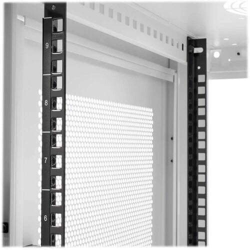 Gabinete de rack SmartRack SRW9UDPW de Tripp Lite by Eaton - Para servidor, LAN