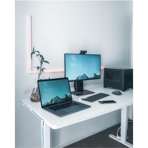StarTech.com Lot de 100 serre-câbles réutilisables avec clou (L)