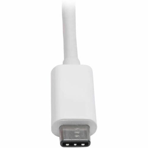 Tripp Lite by Eaton U444-06N-DP8W USB-C to DisplayPort Adapter Cable
