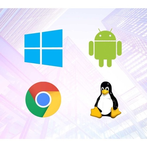 EDU 23.8IN LCD IPS TOUCH 1920X1080 1000 1 ID2455 USB HDMI