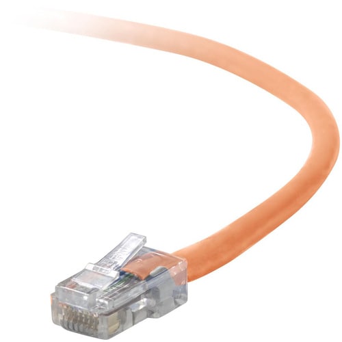 Câble Belkin RJ45 CAT