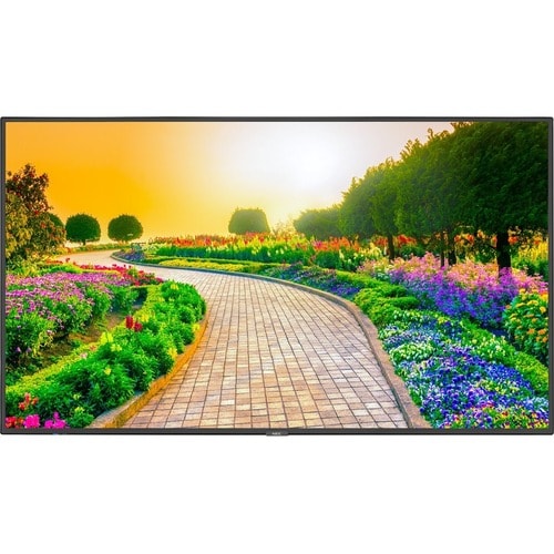 NEC Display 43\" Ultra High Definition Professional Display - 43\" (1092.20 mm) LCD
