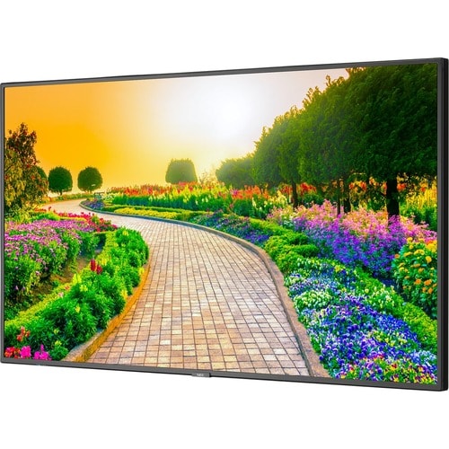 NEC Display 43\" Ultra High Definition Professional Display - 43\" (1092.20 mm) LCD