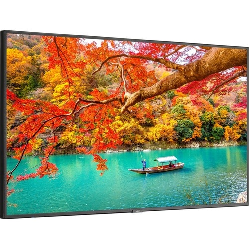 Écran NEC 43\" Large gamme de couleurs Ultra Haute Définition Professionnel D