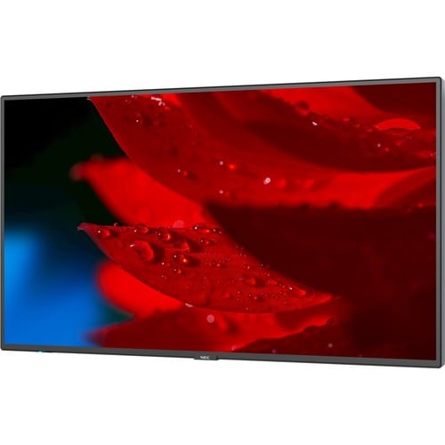 Écran NEC 49\" à large gamme de couleurs ultra haute définition professionnelle