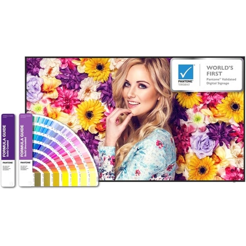 BenQ 65\" Pantone® Validated Smart Signage - SL6502K - 65\" (1651 mm) LCD