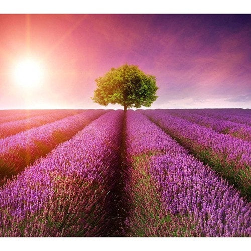 Écran Viewsonic 32 pouces, dalle IPS, résolution 3840 x 2160 - 31,5 pouces visible - en