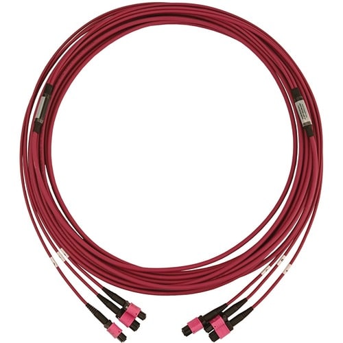 Tripp Lite par Eaton N858B