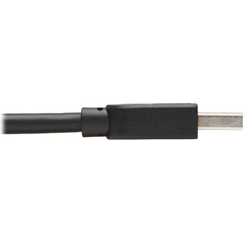 Tripp Lite by Eaton U325