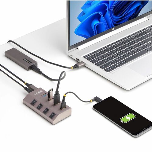 StarTech.com 4-Port Self-Powered USB