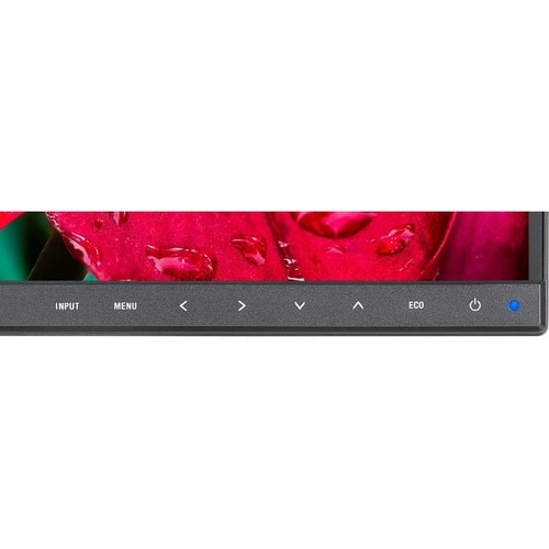 EA242WU-BK 24 LED IPS 1920X1200 HDMI/DISPLAYPORT IN /OUT/USB-C