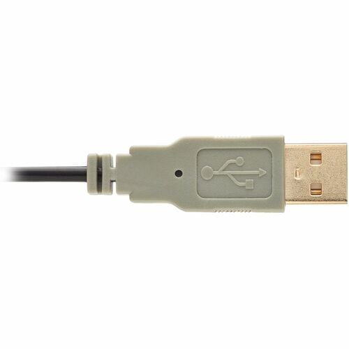 Câble d'extension audio/vidéo HDMI Tripp Lite par Eaton P569-020-MF-ACT - 6,10 m (20 pi)