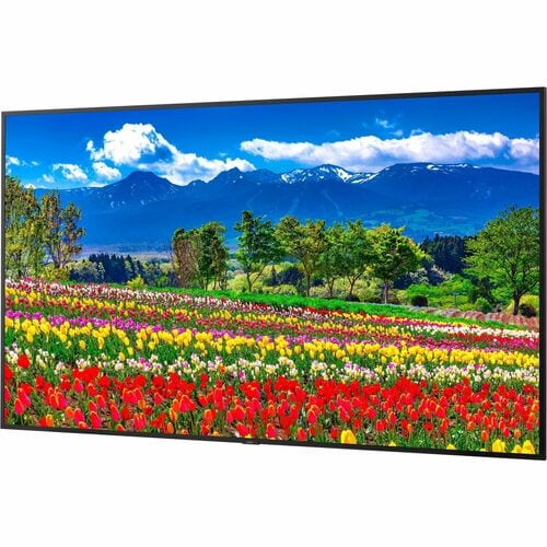 Sharp NEC Display 75\" Ultra High Definition Professional Display - 75\" LCD - In