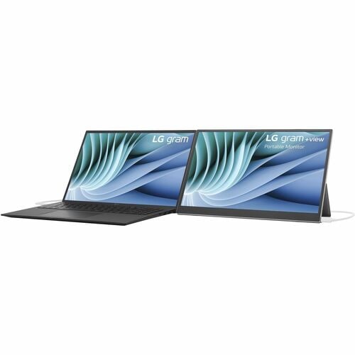 16 GRAMOS + VISTA WQXGA 2560X1600 USB TIPO C