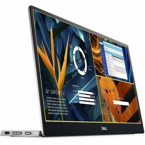 Monitor LED Dell P1424H de 14" Full HD - 16:9 - Negro