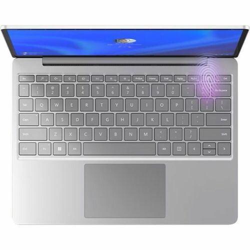 EN SURFACE GO3 I5/8/128 SC W10 PLATINE