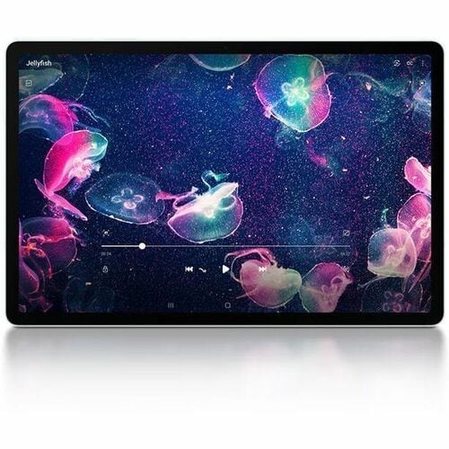 B2C TAB S9FE 5G 6+128 GB