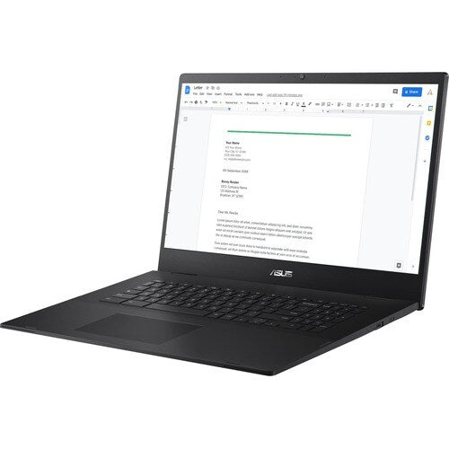 Asus Chromebook CX1 CX1700 CX1700CKA-DS01-CB 17,3 pouces (439,42 mm) Chromebook - Full HD