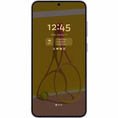 Samsung Galaxy S24+ SM