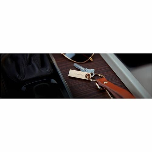 64GB 220MB/S METAL USB 3.2 GEN 1 DATATRAVELER SE9 G3