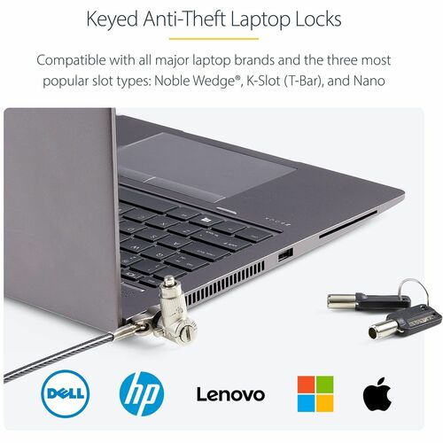 StarTech.com Candado universal para portátil (paquete de 25), 2 m, con llave igual, cable de seguridad